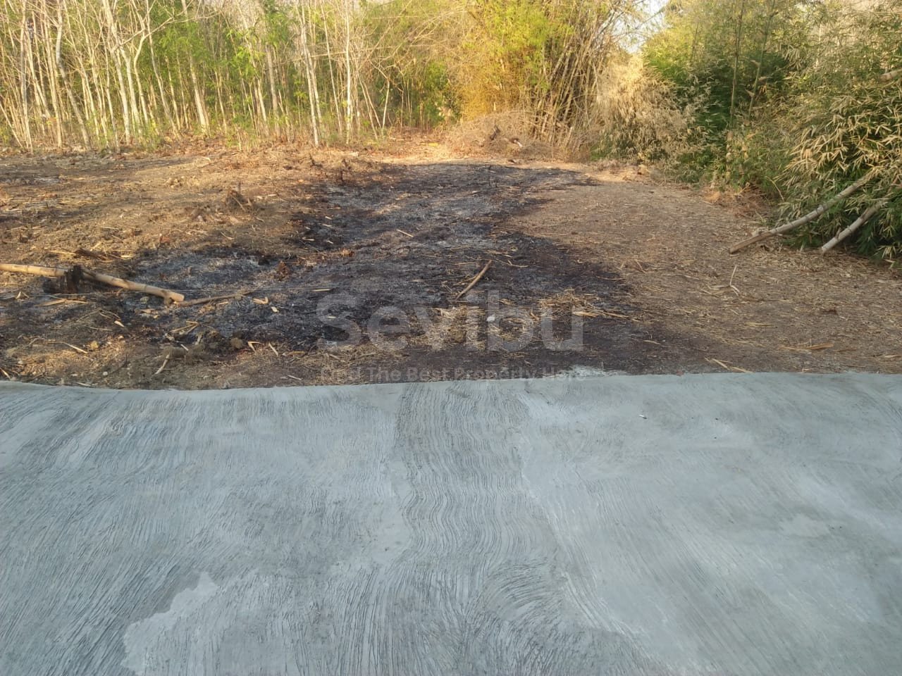 WhatsApp Image 2022-05-19 at 1.09.16 PM