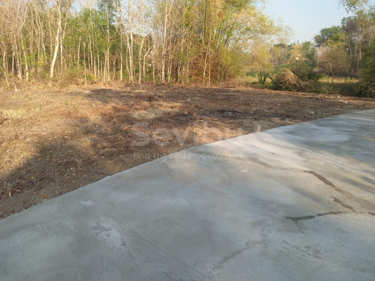 WhatsApp Image 2022-05-19 at 1.09.17 PM (2)