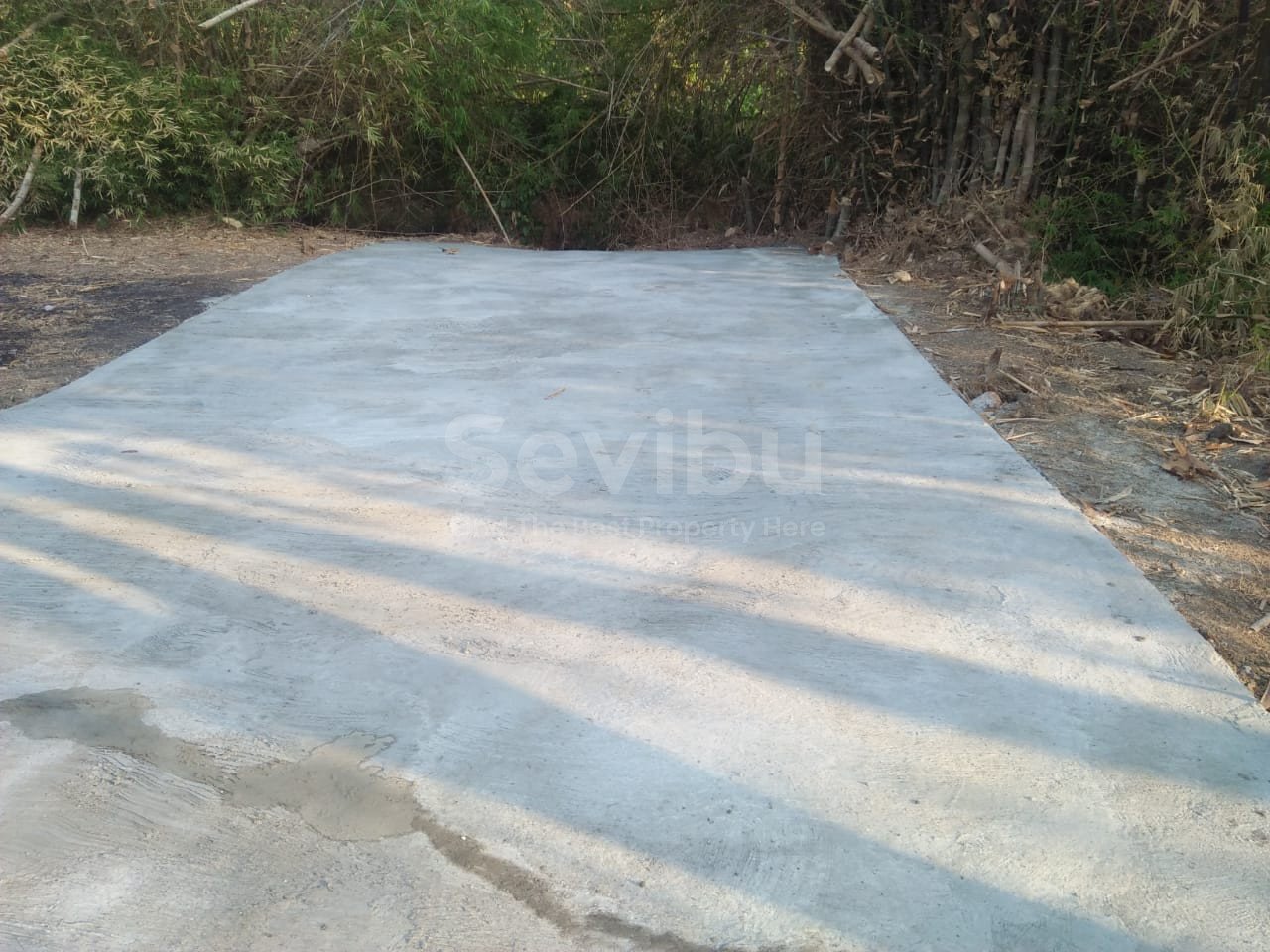 WhatsApp Image 2022-05-19 at 1.09.17 PM