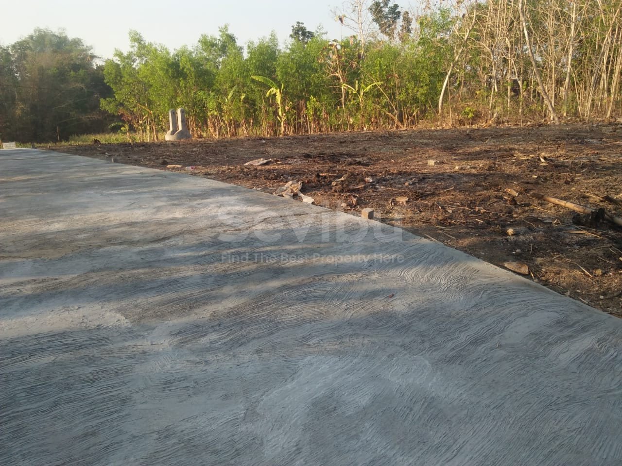 WhatsApp Image 2022-05-19 at 1.09.18 PM