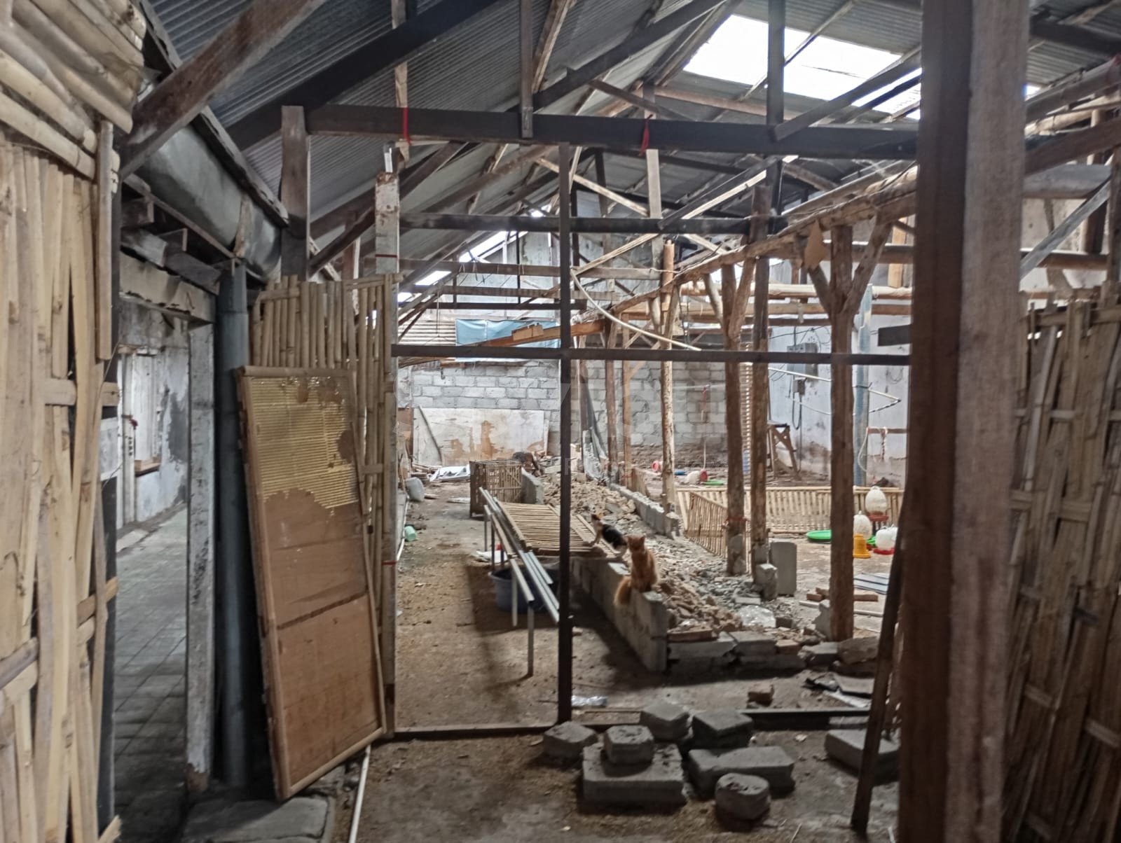 WhatsApp Image 2025-03-22 at 12.52.40 (1)