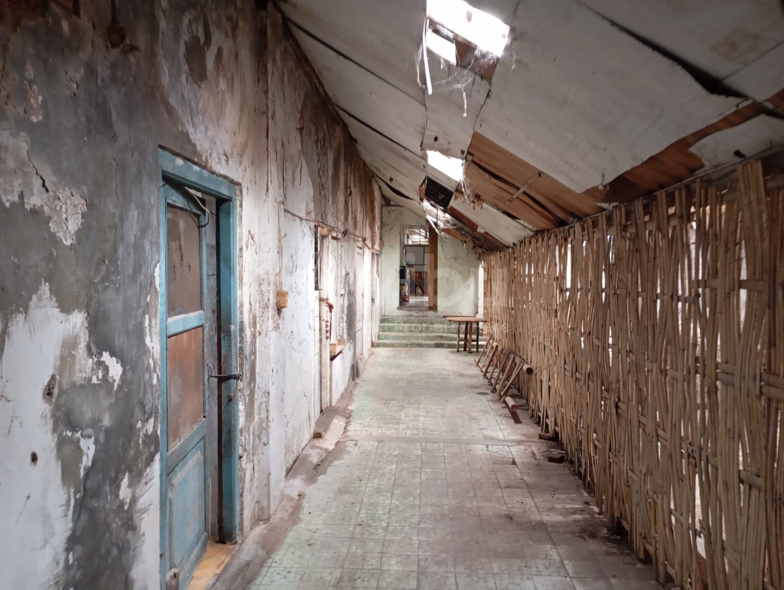 WhatsApp Image 2025-03-22 at 12.52.40