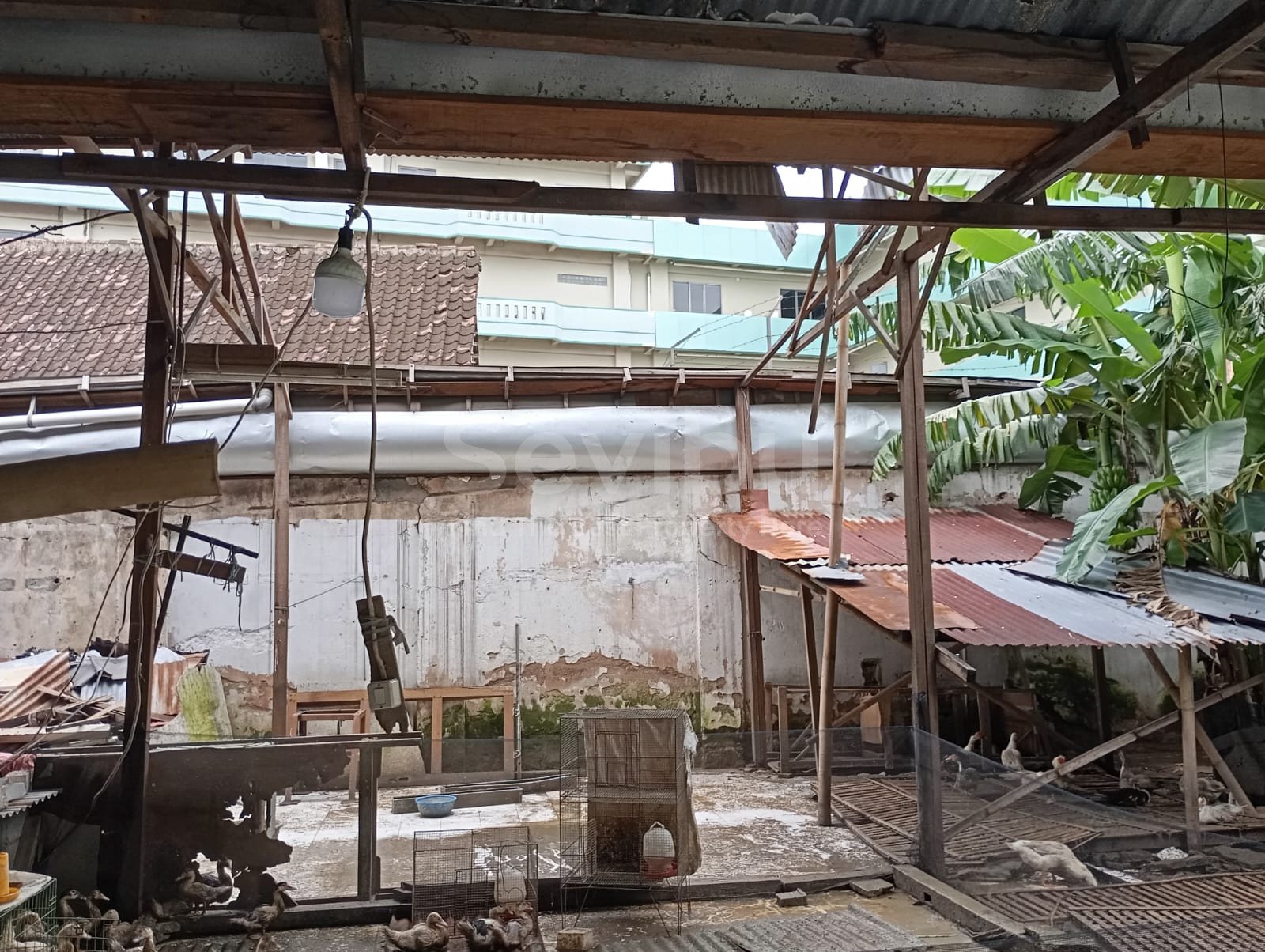 WhatsApp Image 2025-03-22 at 12.52.41