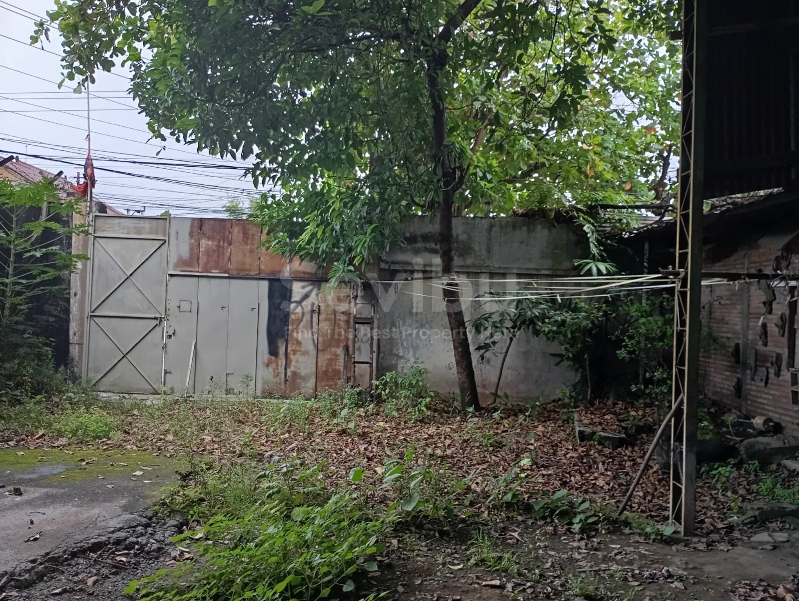 WhatsApp Image 2025-03-22 at 12.53.40