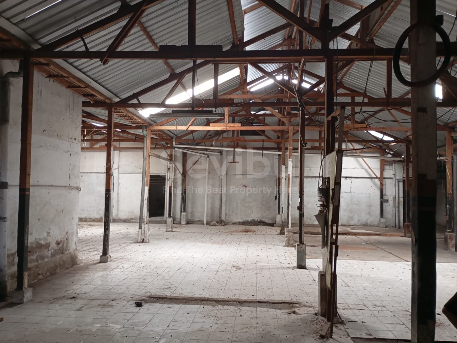 WhatsApp Image 2025-03-22 at 12.53.42