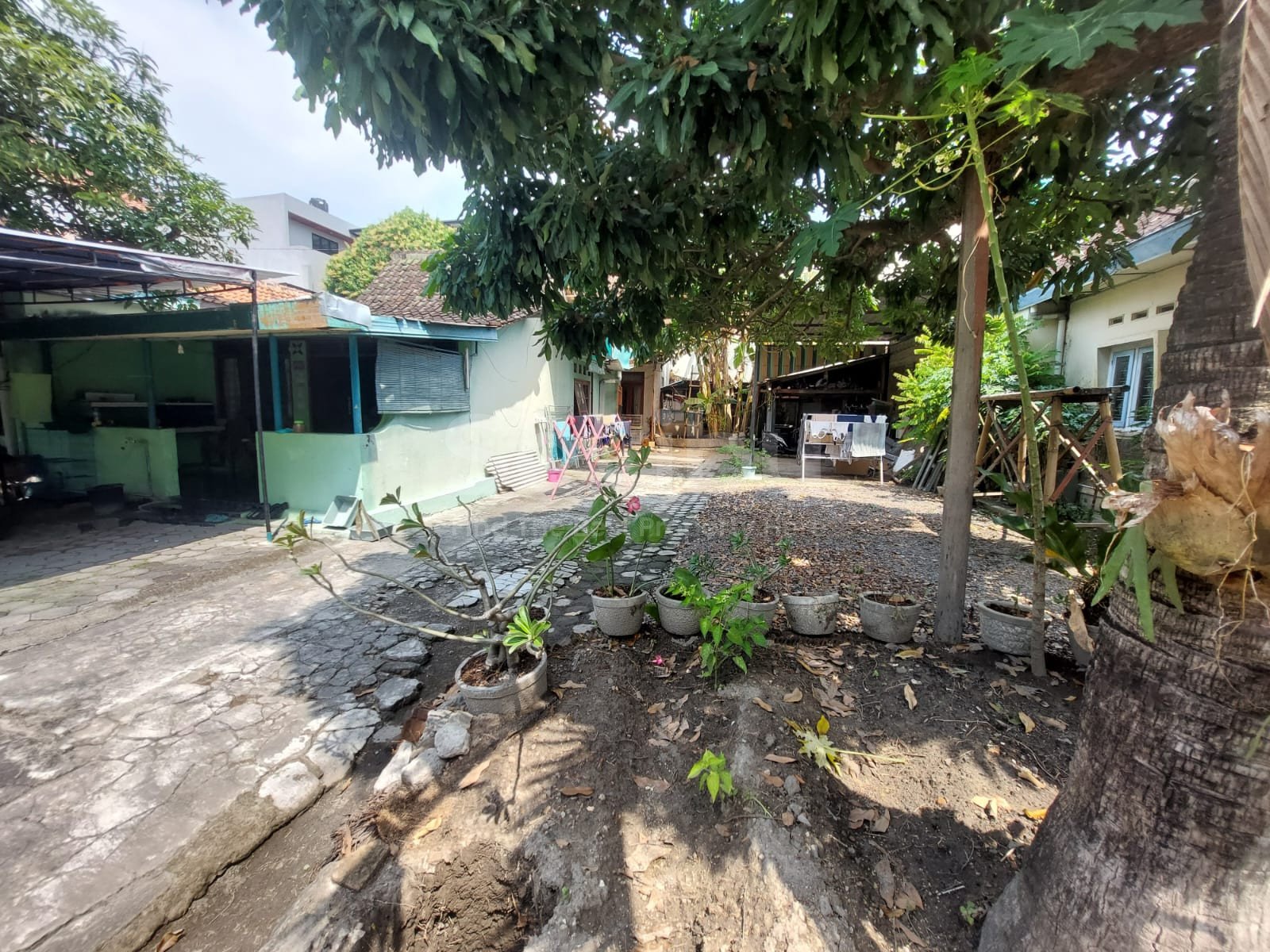 WhatsApp Image 2025-08-11 at 11.35.48 AM