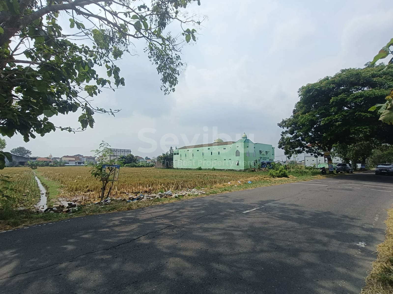 WhatsApp Image 2025-08-14 at 10.25.01