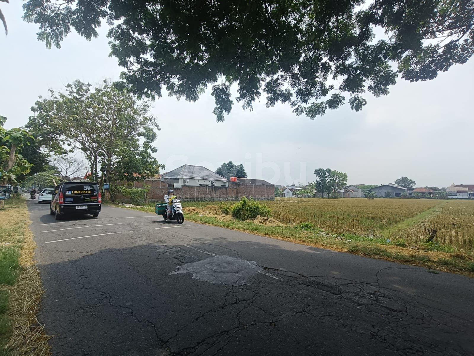 WhatsApp Image 2025-08-14 at 10.25.23 (1)