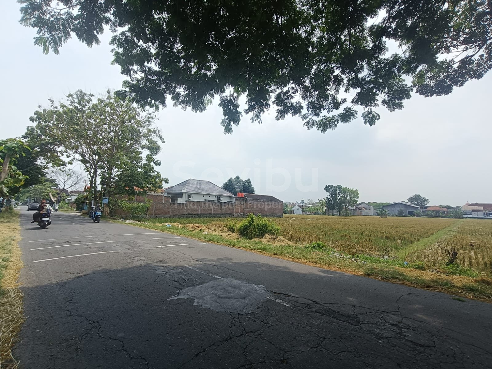 WhatsApp Image 2025-08-14 at 10.25.23