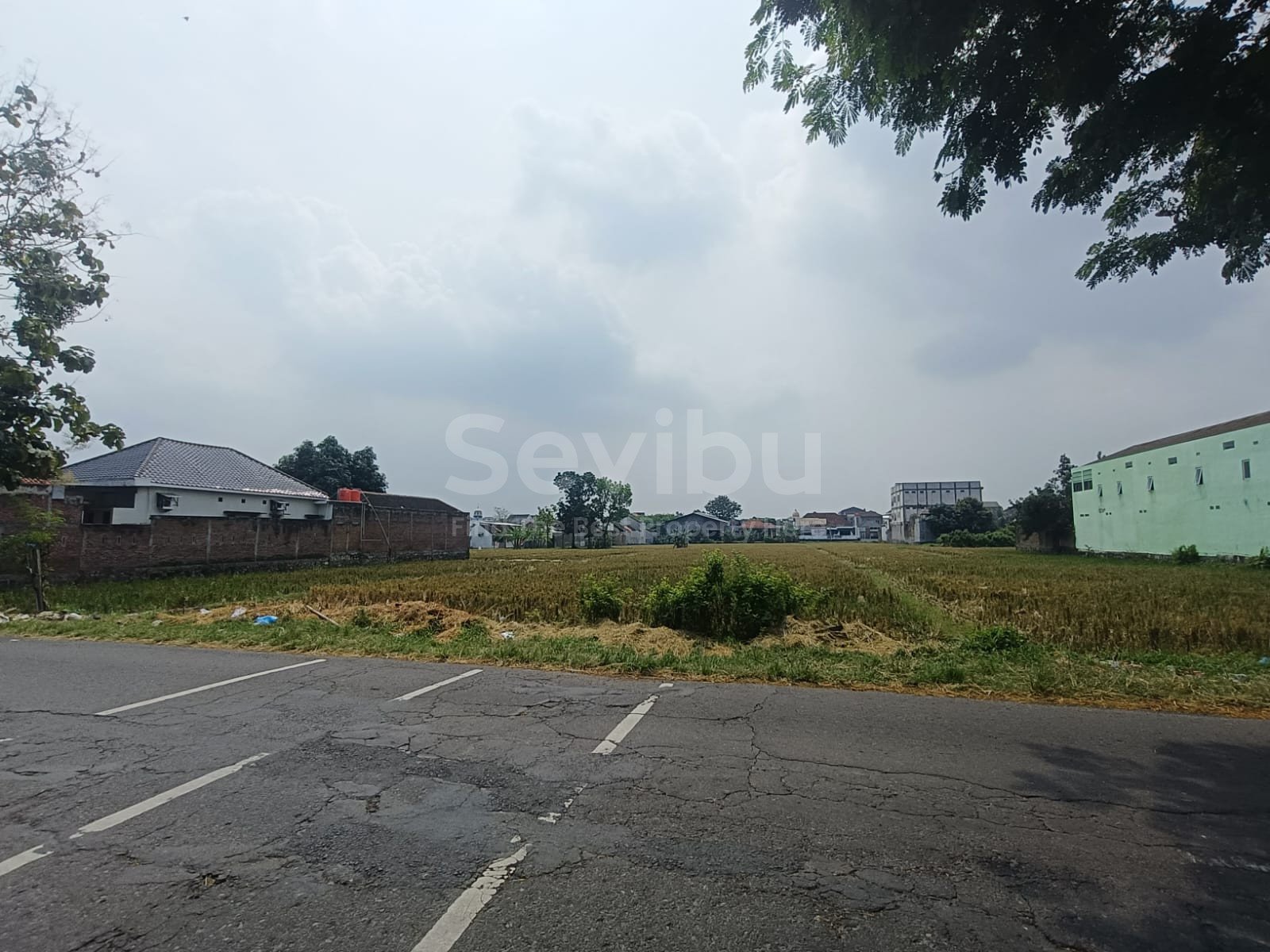 WhatsApp Image 2025-08-14 at 10.25.24 (1)