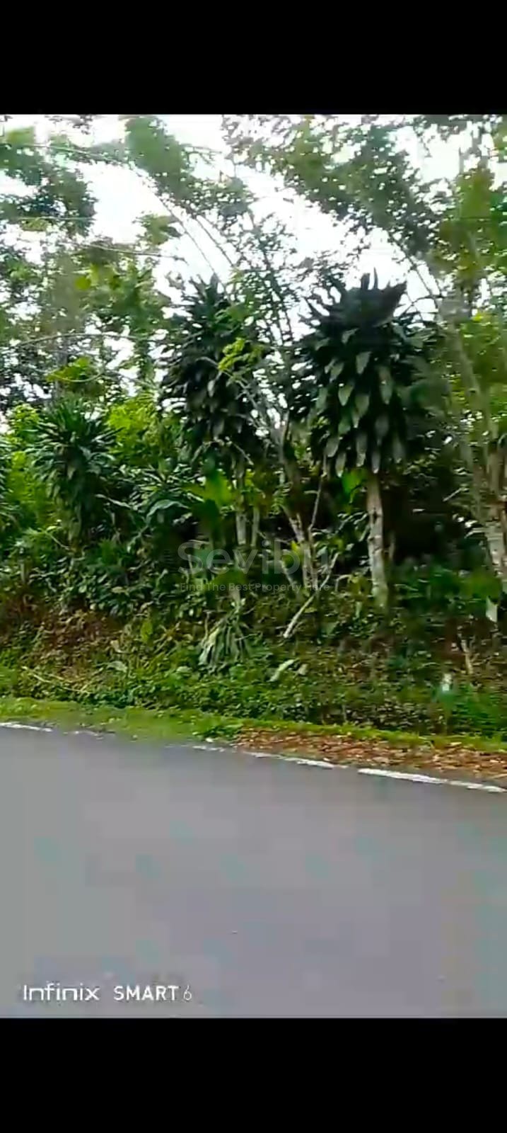 WhatsApp Image 2025-08-18 at 11.46.44