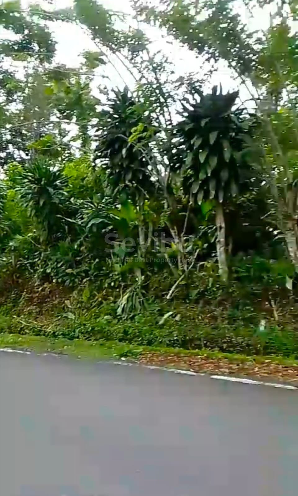 WhatsApp Image 2025-08-18 at 11.46.45 (1)