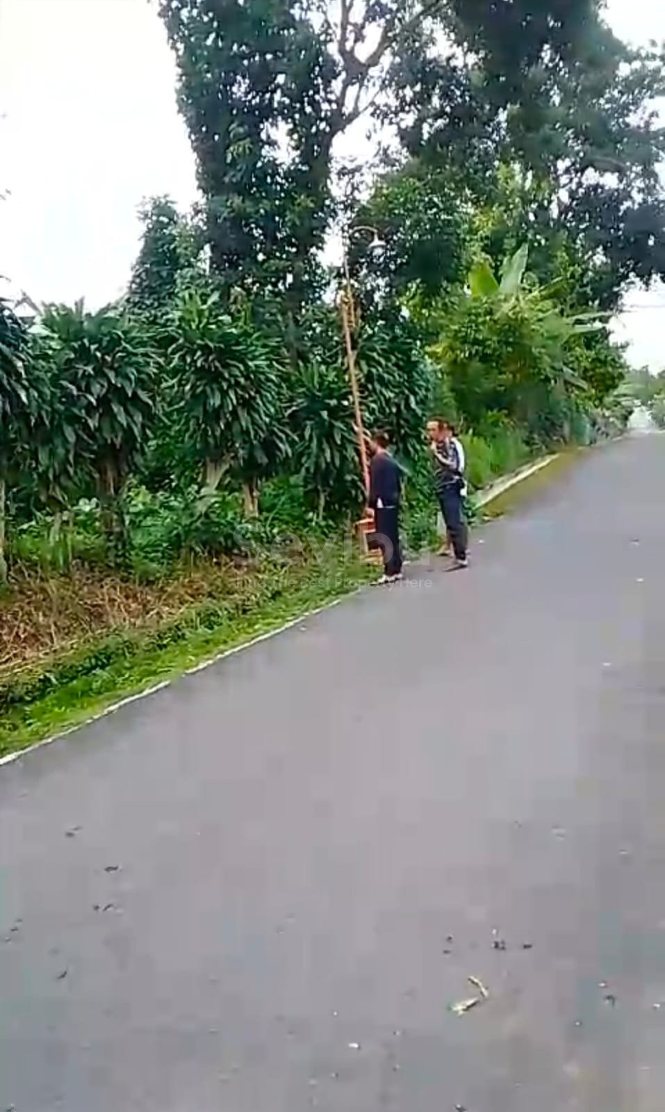 WhatsApp Image 2025-08-18 at 11.46.45