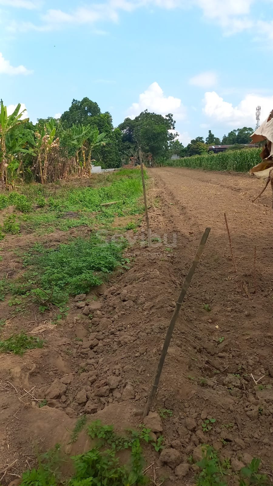 WhatsApp Image 2025-08-18 at 9.18.50 AM (1)