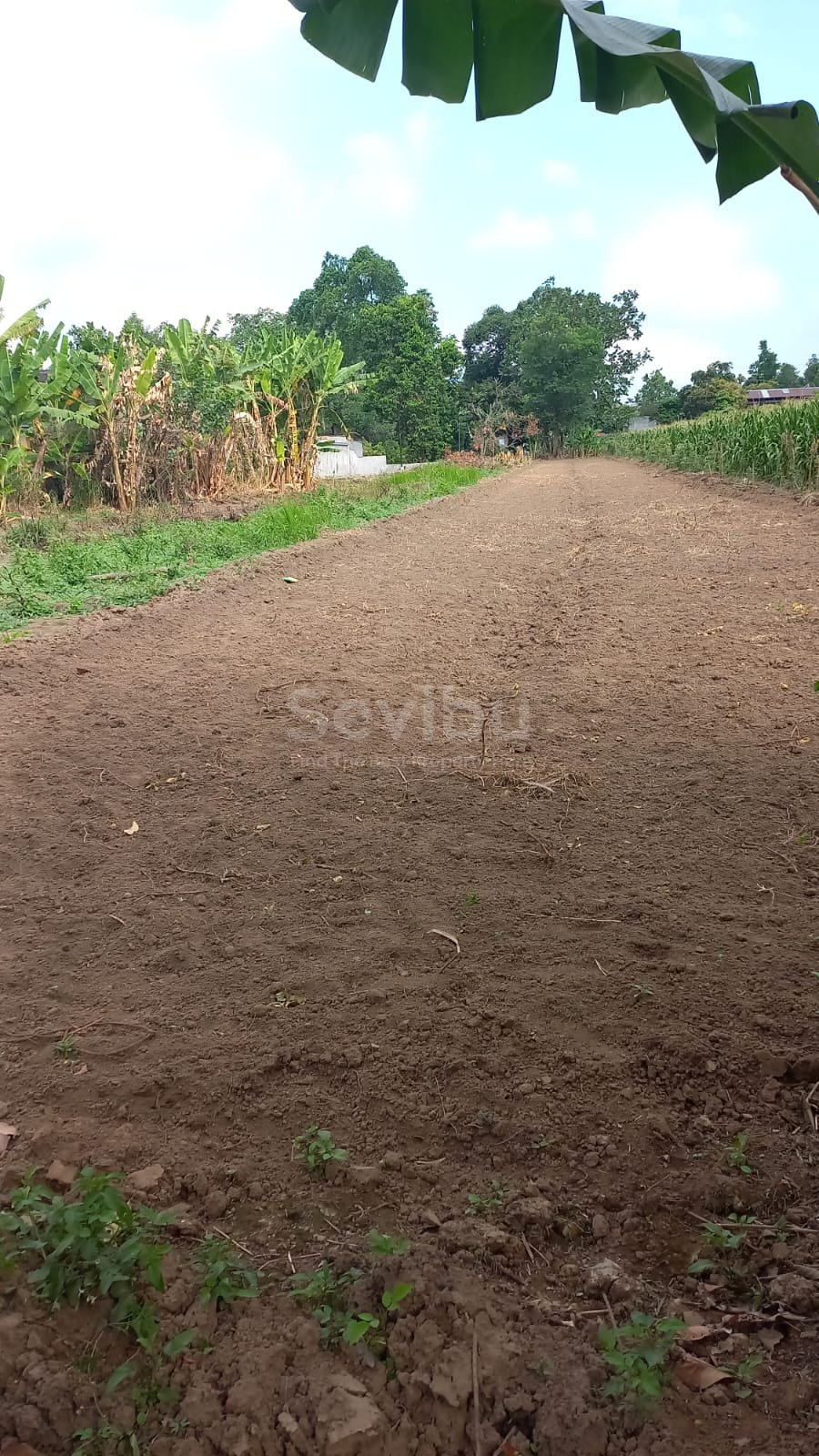 WhatsApp Image 2025-08-18 at 9.18.50 AM