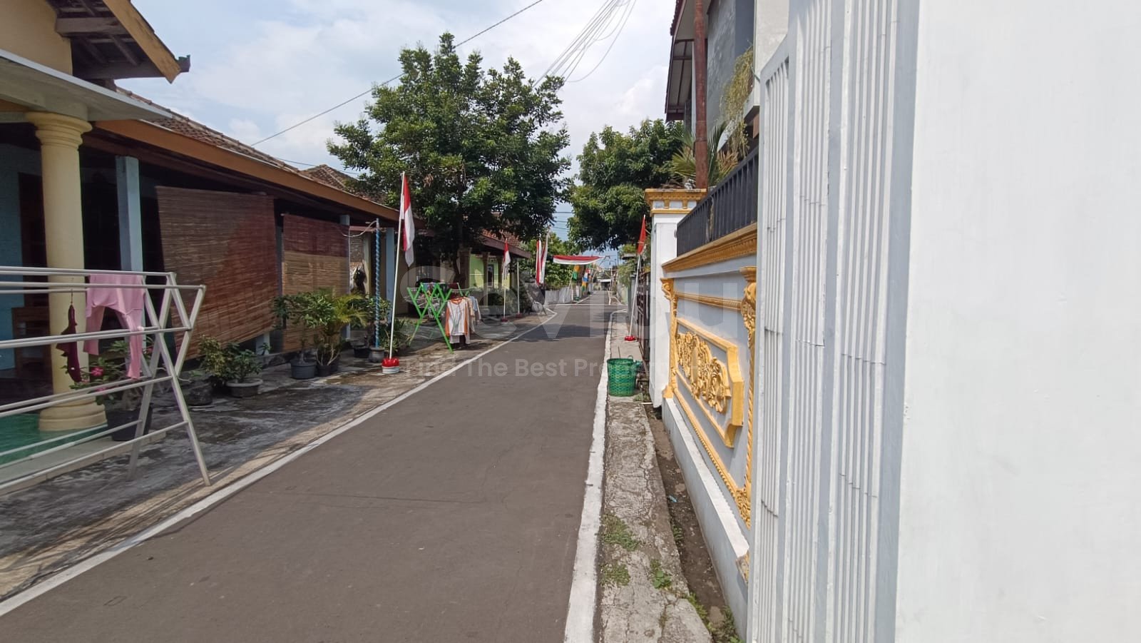 WhatsApp Image 2025-08-21 at 1.46.37 PM