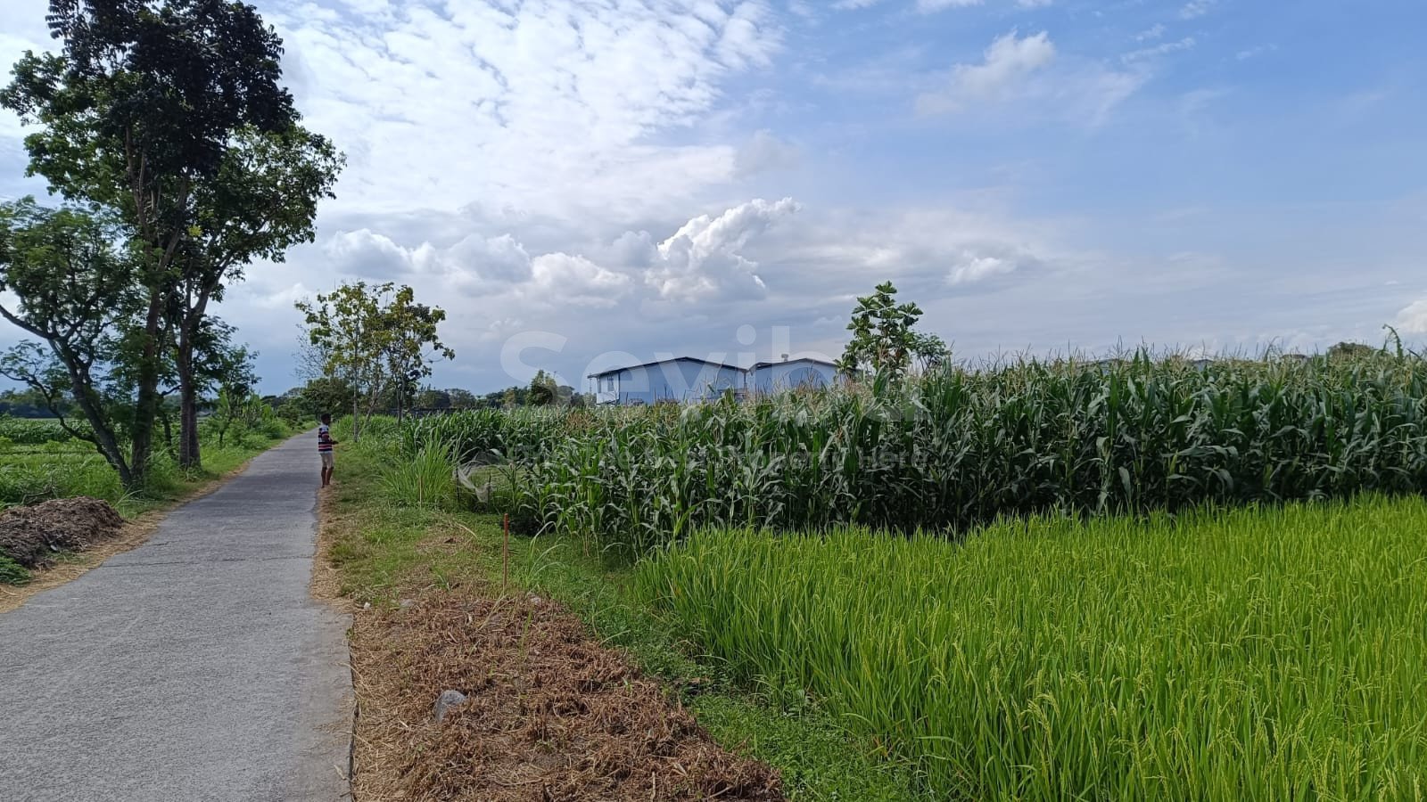 WhatsApp Image 2025-08-21 at 8.17.29 AM