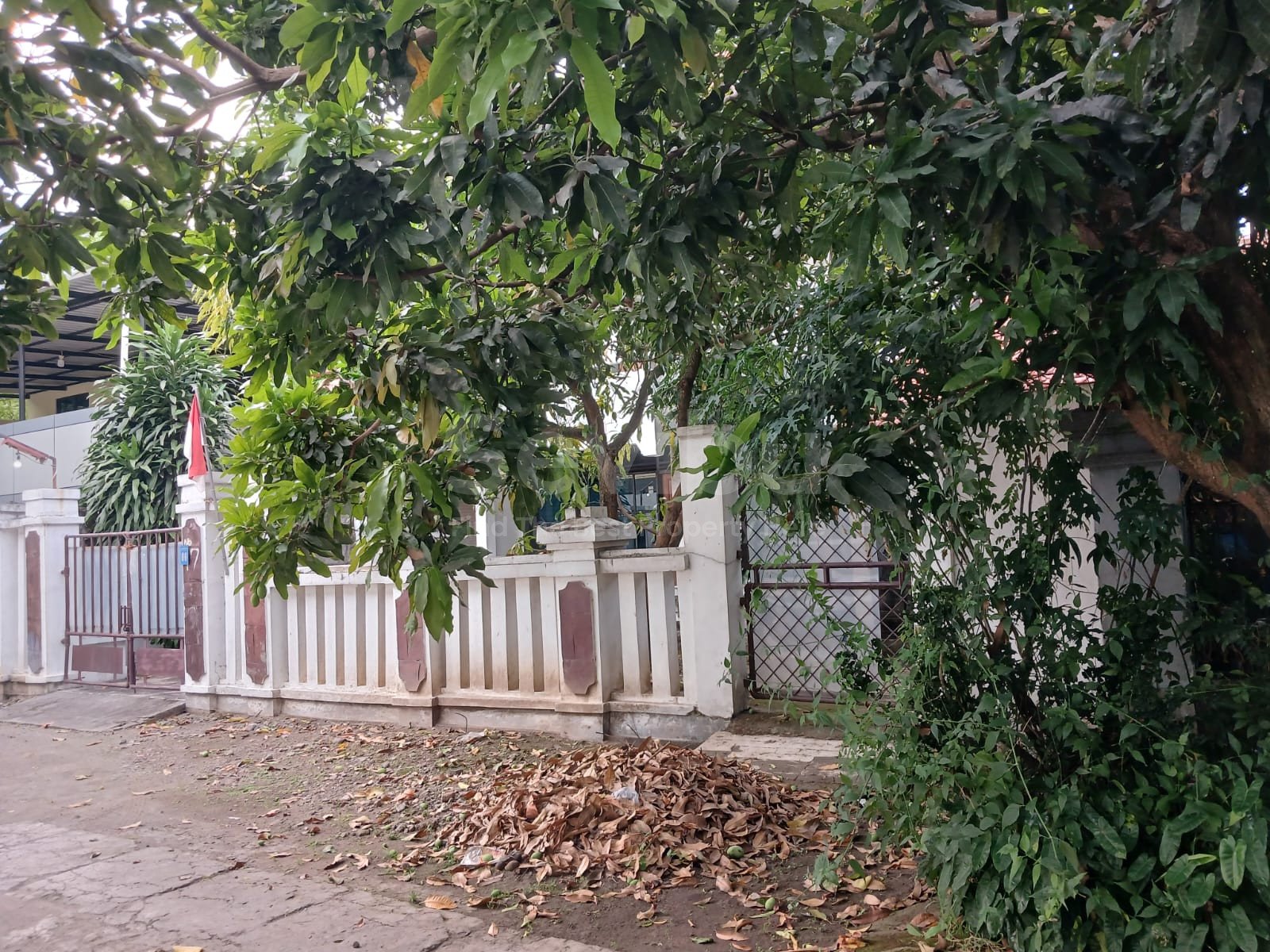 WhatsApp Image 2025-08-22 at 08.36.26 (1)