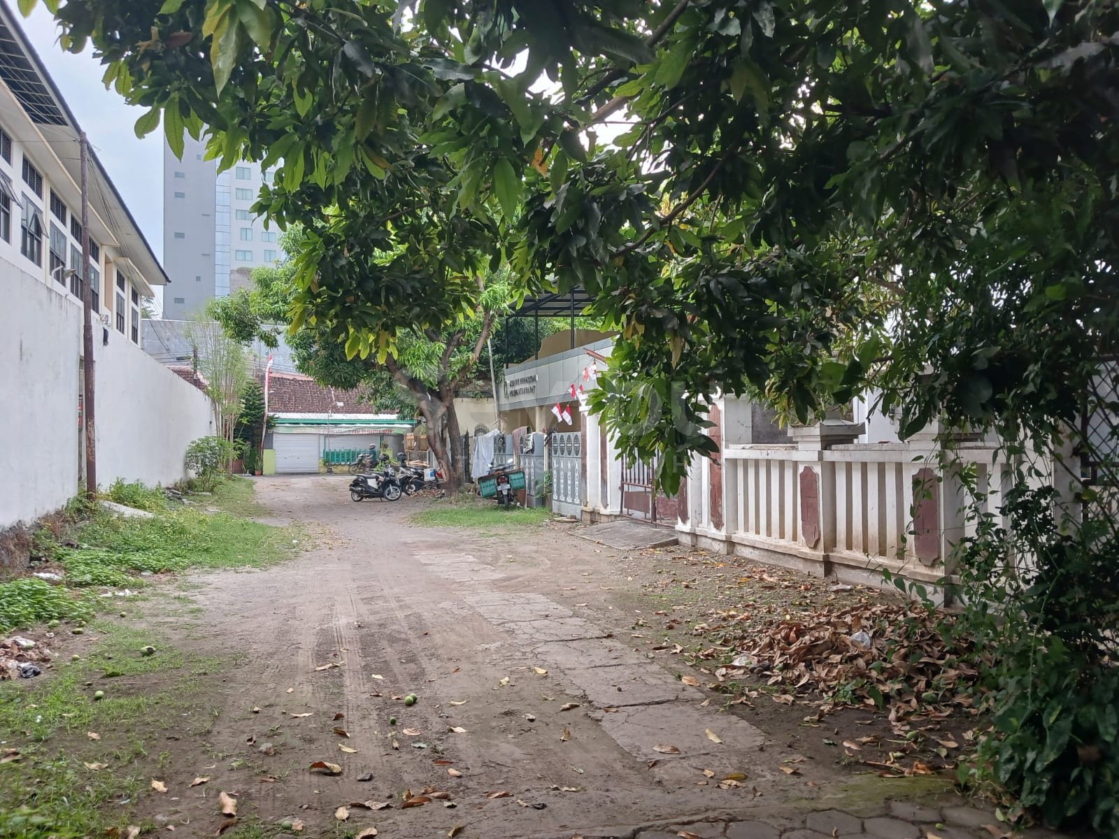 WhatsApp Image 2025-08-22 at 08.36.26