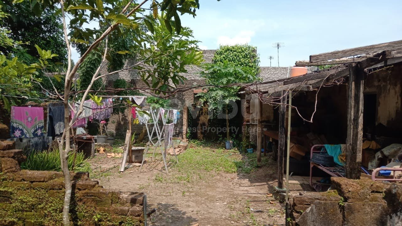 WhatsApp Image 2025-08-26 at 11.20.31 (1)