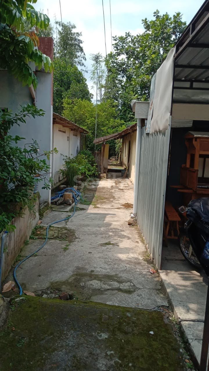 WhatsApp Image 2025-08-26 at 11.20.31 (3)