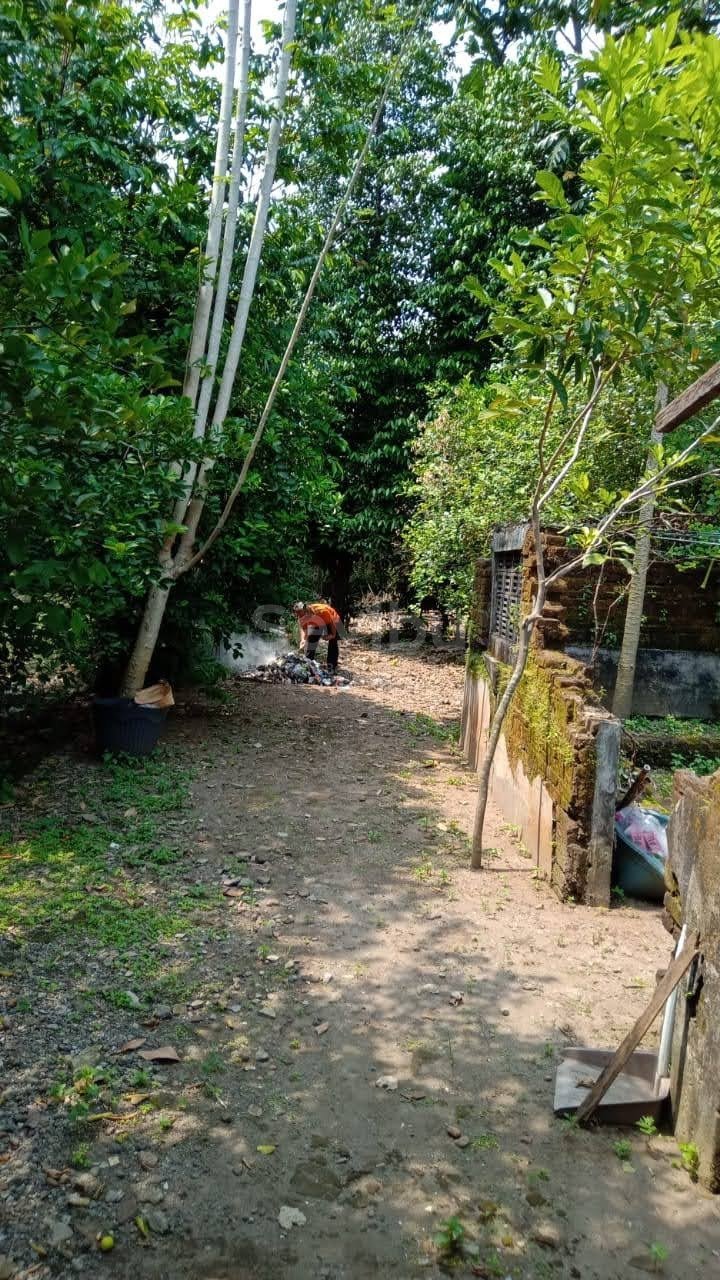 WhatsApp Image 2025-08-26 at 11.20.35 (2)