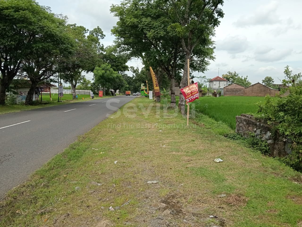 WhatsApp Image 2025-08-26 at 11.36.03