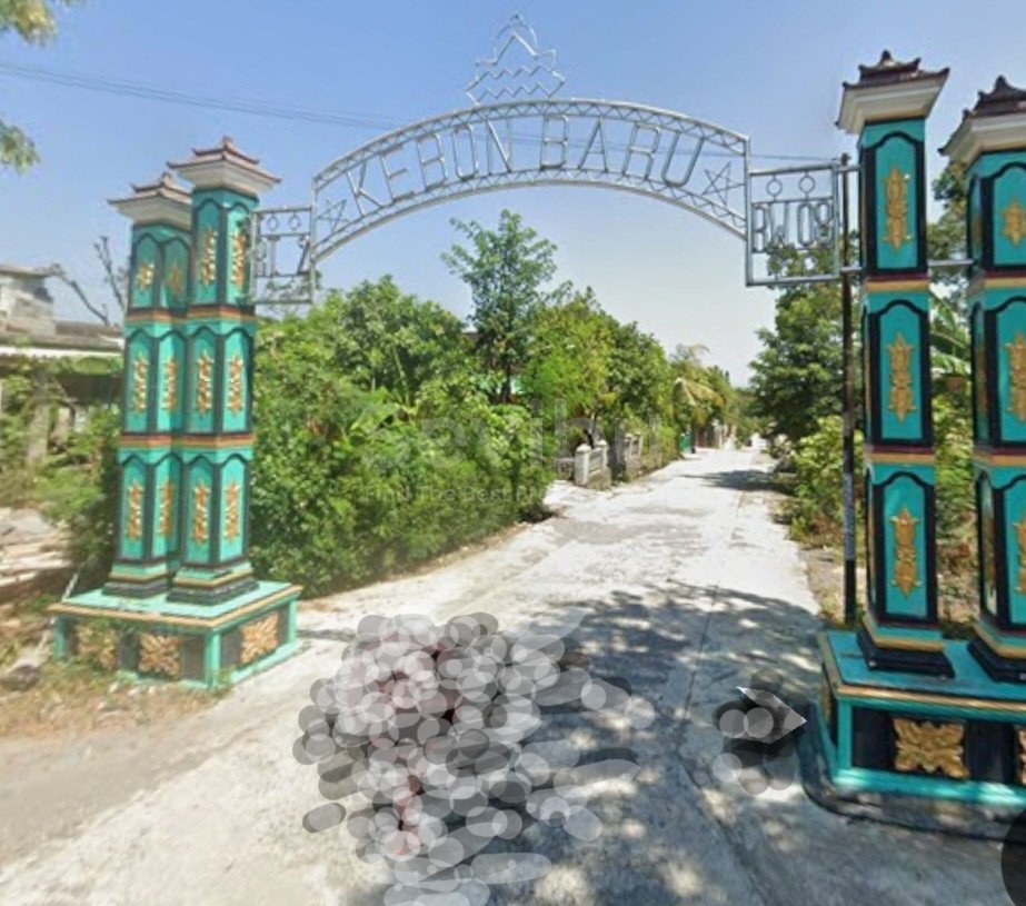 WhatsApp Image 2025-08-27 at 1.14.49 PM