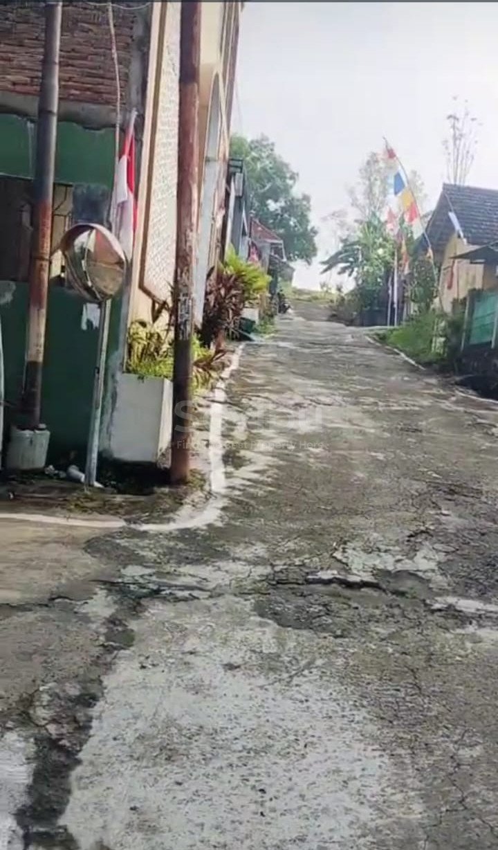 WhatsApp Image 2025-08-29 at 15.11.04