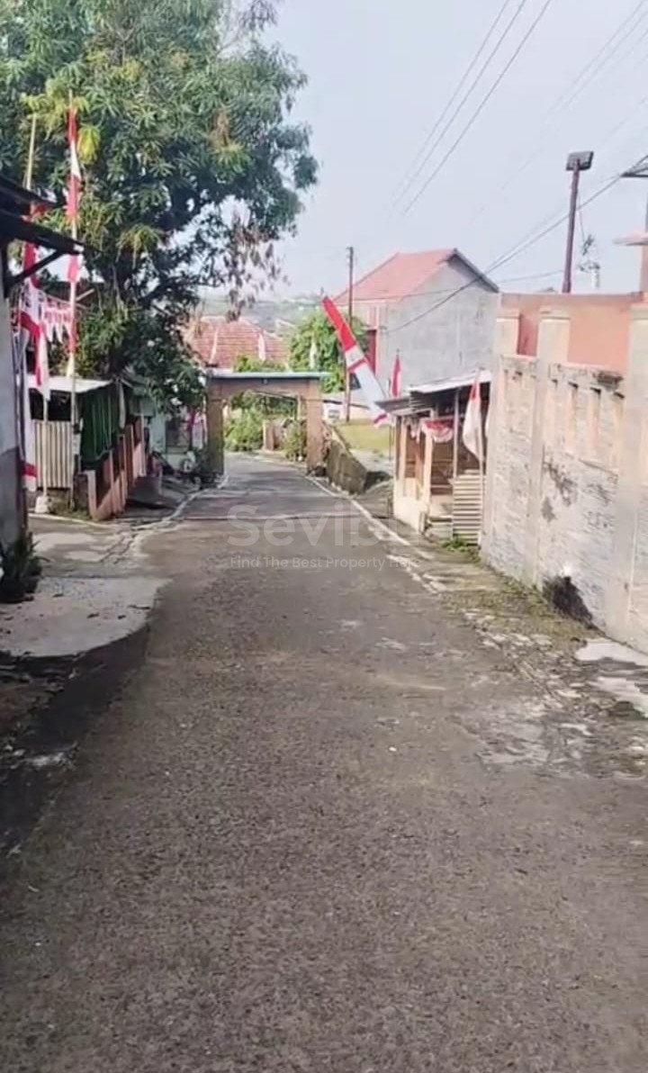 WhatsApp Image 2025-08-29 at 15.11.05