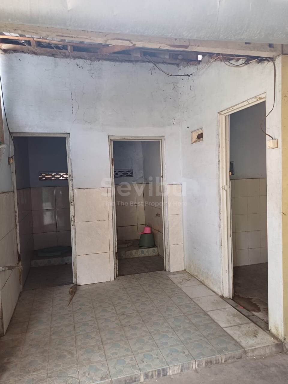 WhatsApp Image 2025-09-01 at 10.15.19 AM (1)