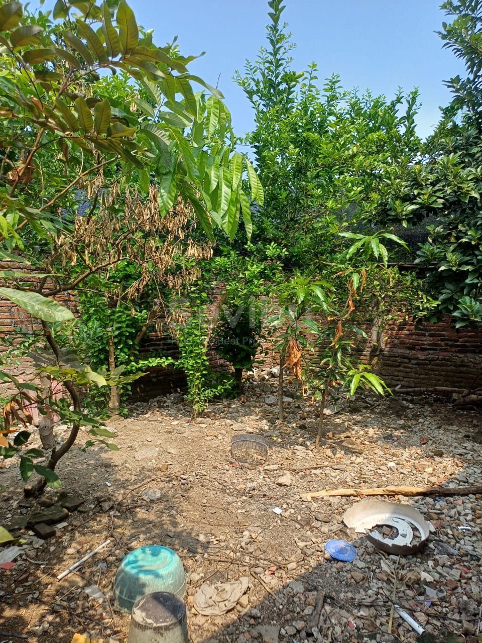 WhatsApp Image 2025-09-01 at 10.15.20 AM