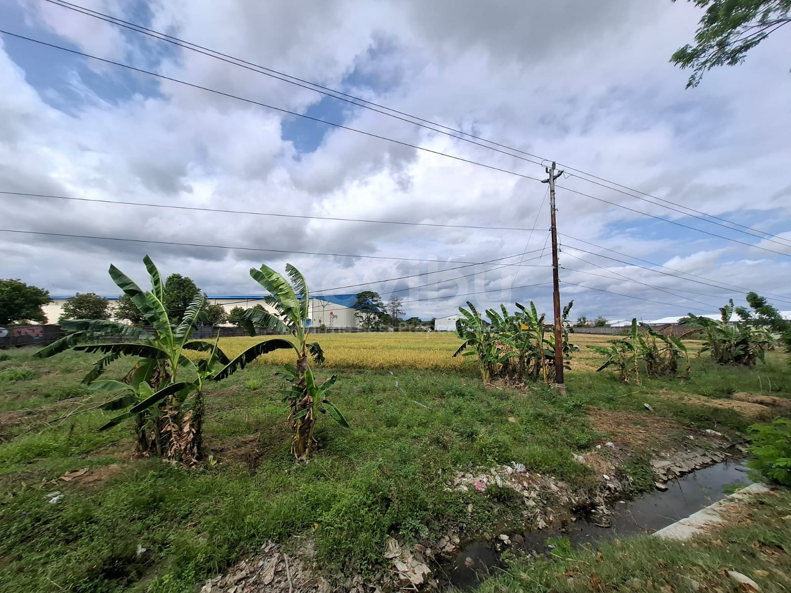 WhatsApp Image 2025-09-06 at 08.18.46 (1)