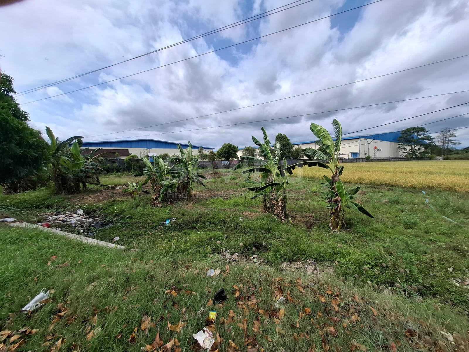 WhatsApp Image 2025-09-06 at 08.18.46