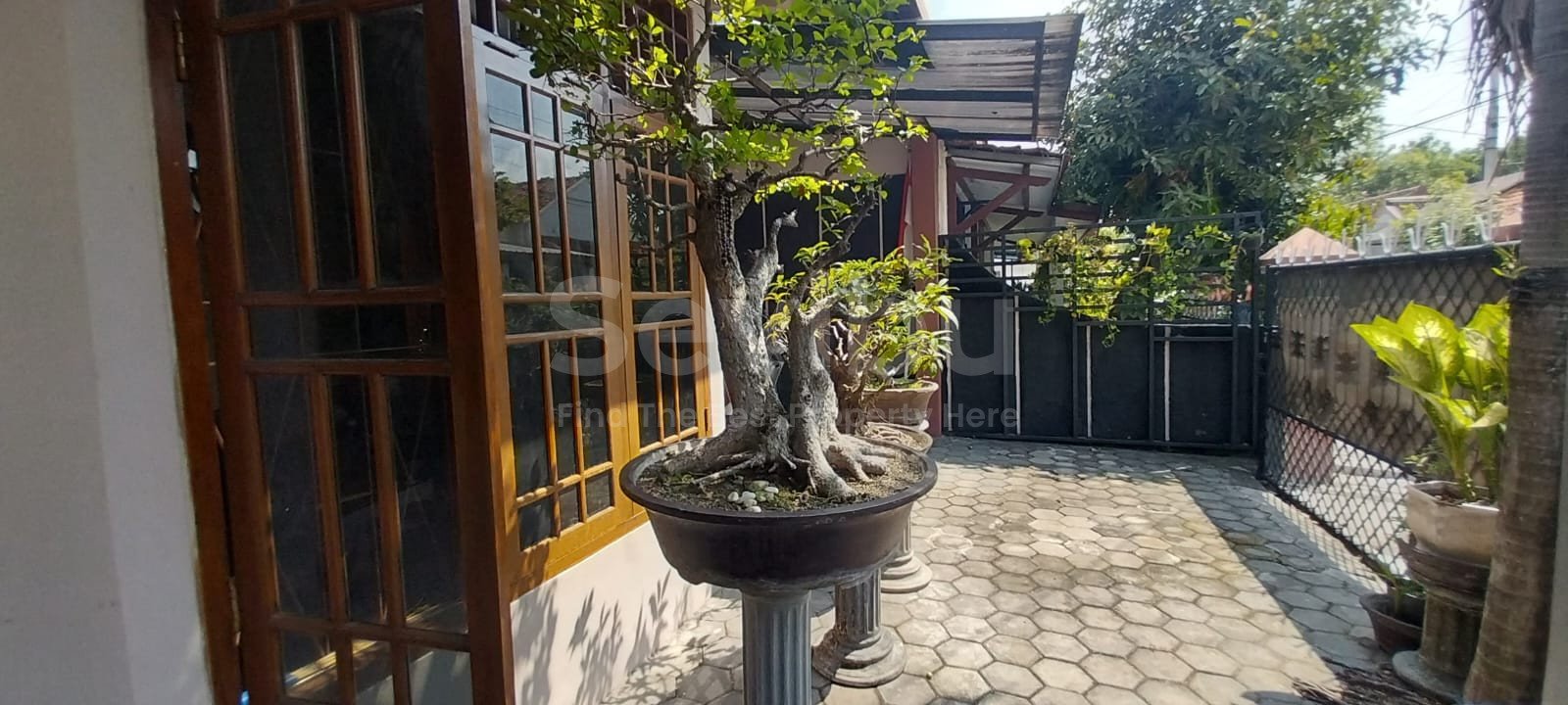 WhatsApp Image 2025-09-06 at 13.49.47