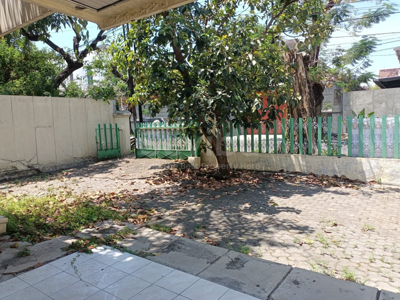 WhatsApp Image 2025-09-06 at 13.52.43 (1)