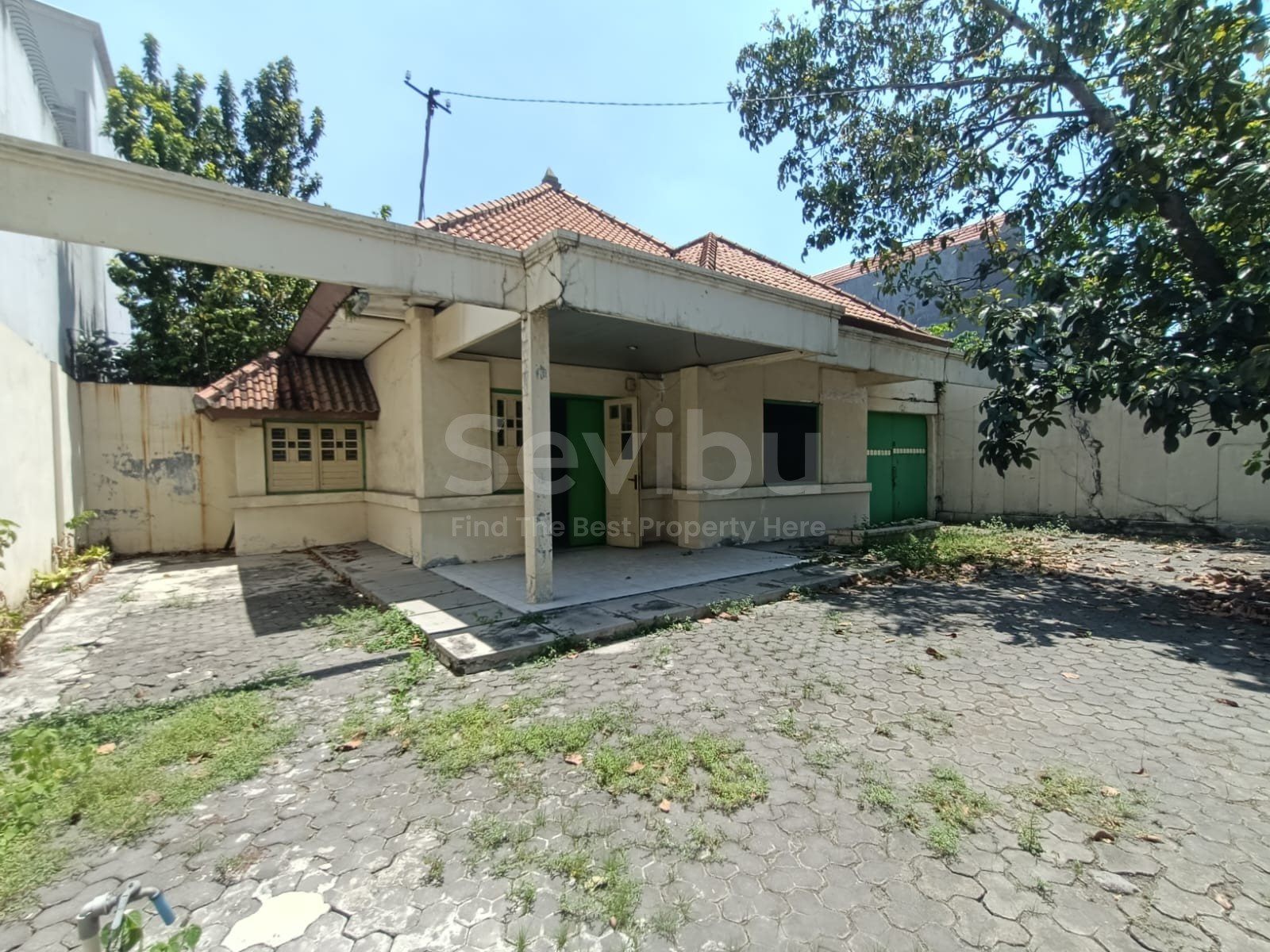 WhatsApp Image 2025-09-06 at 13.52.44 (1)