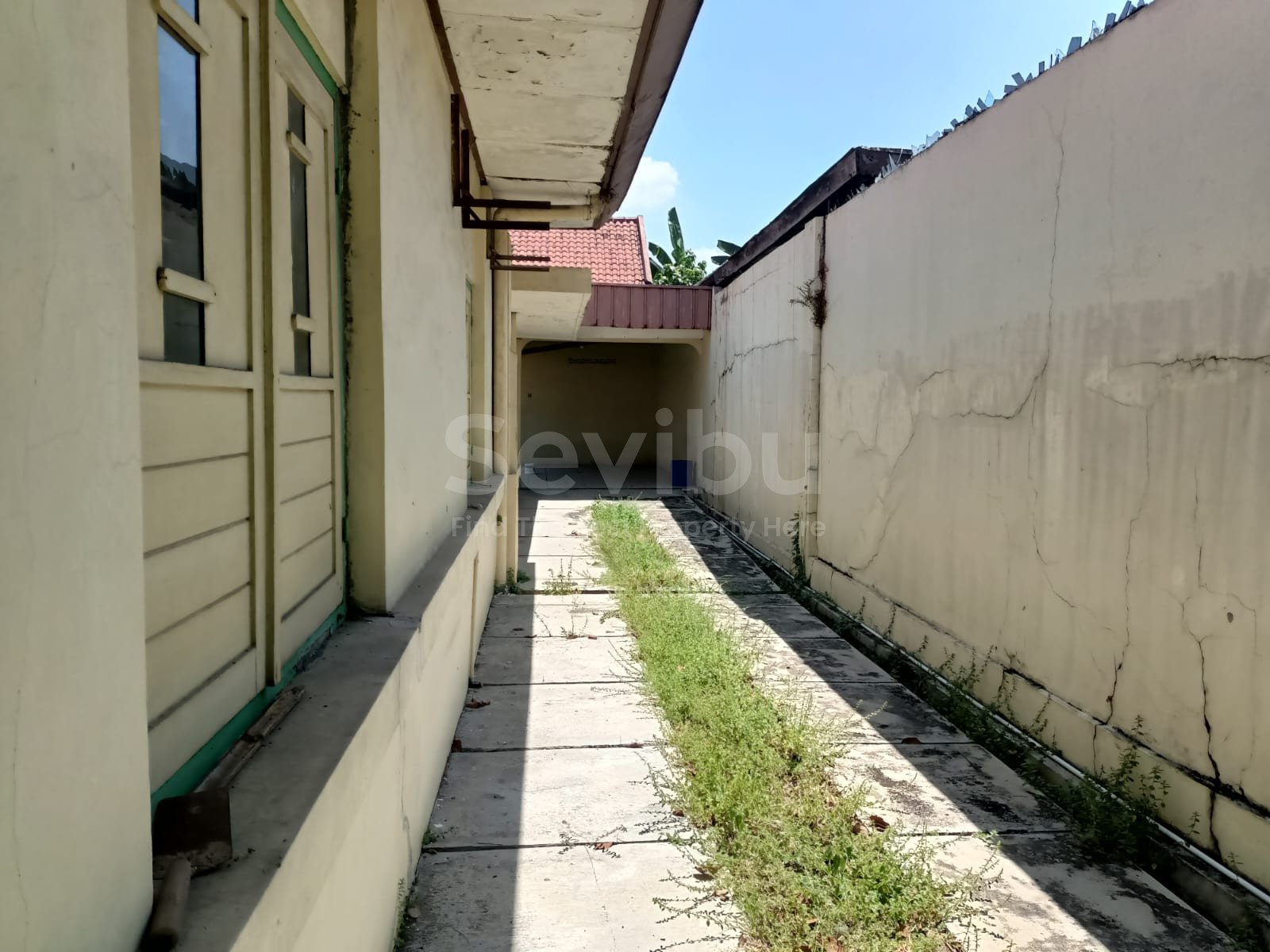 WhatsApp Image 2025-09-06 at 13.52.47