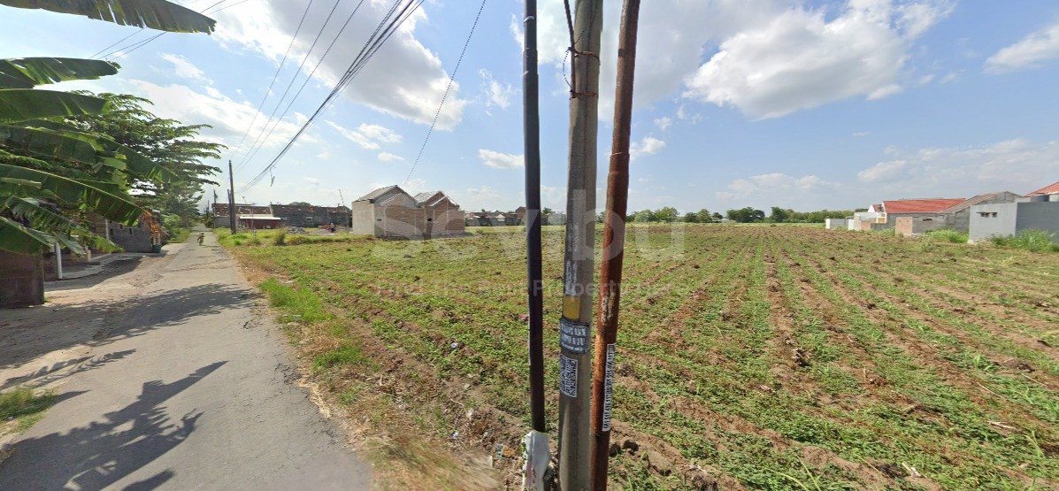 WhatsApp Image 2025-09-09 at 11.57.02 (2)