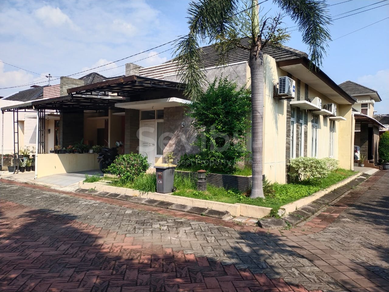 WhatsApp Image 2025-09-12 at 13.22.33