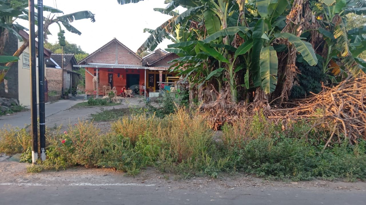 WhatsApp Image 2025-09-13 at 08.55.21