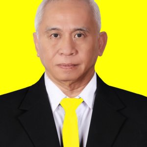 Handi Hartawan