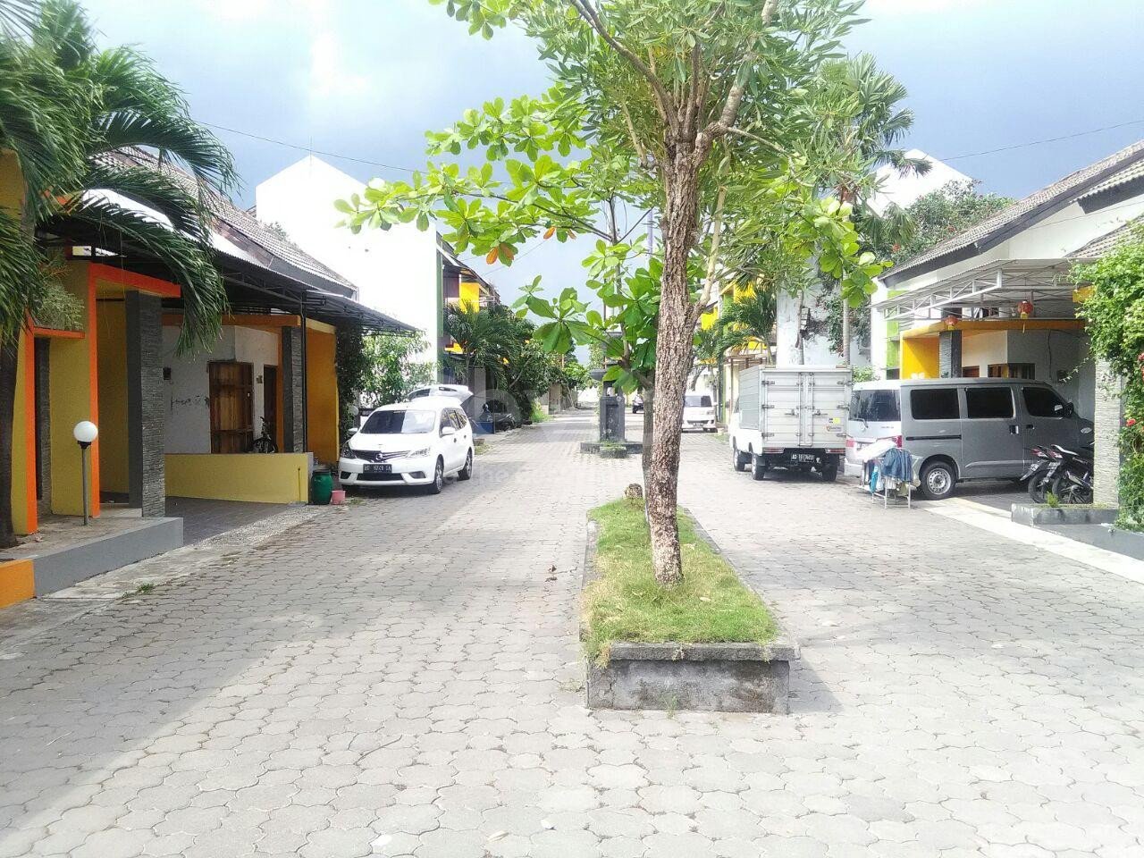 WhatsApp-Image-2017-11-11-at-14.05.57