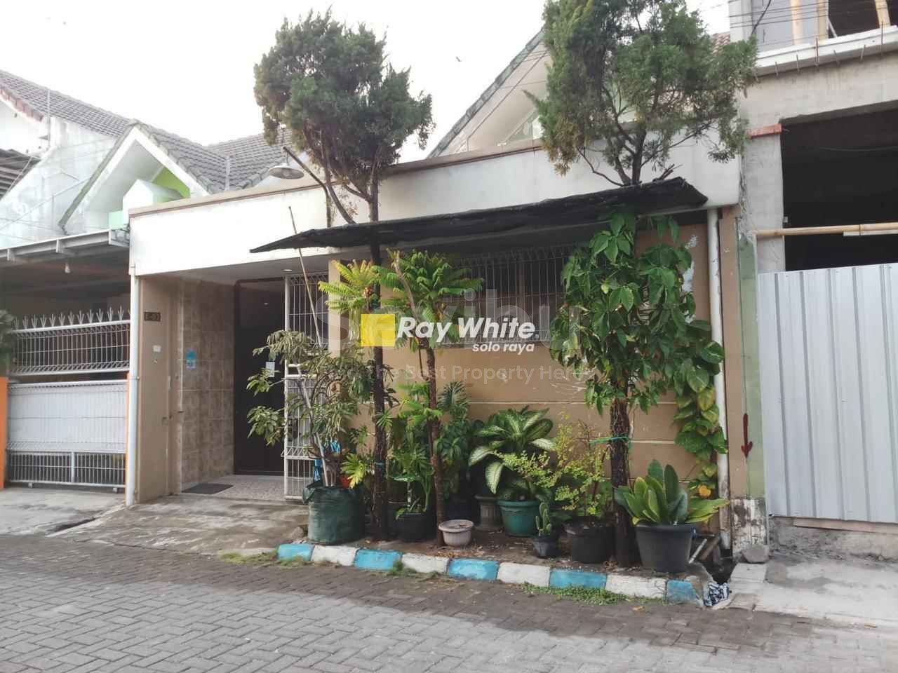 WhatsApp-Image-2024-11-02-at-06.20.24-1