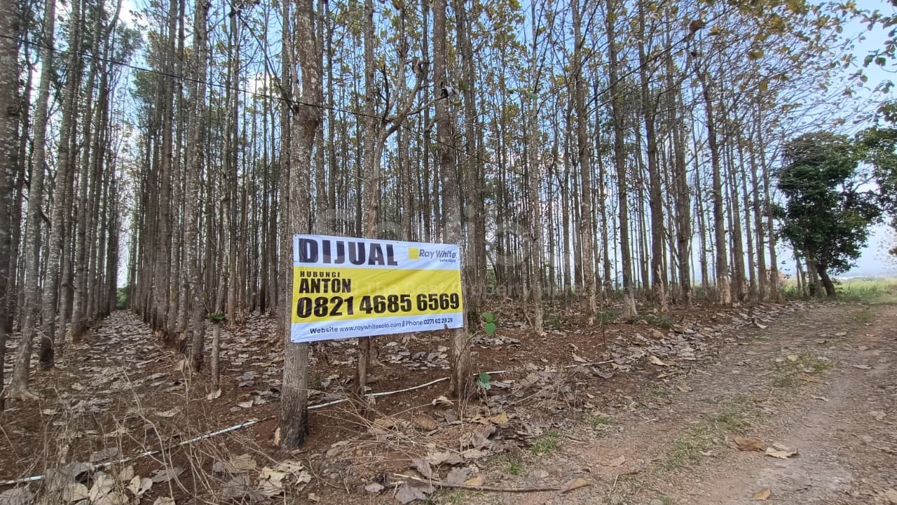 WhatsApp Image 2025-09-25 at 15.11.19