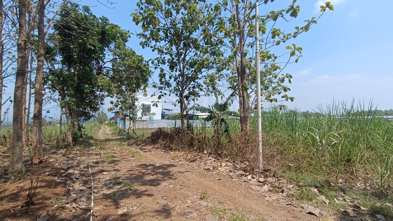 WhatsApp Image 2025-09-25 at 15.11.35