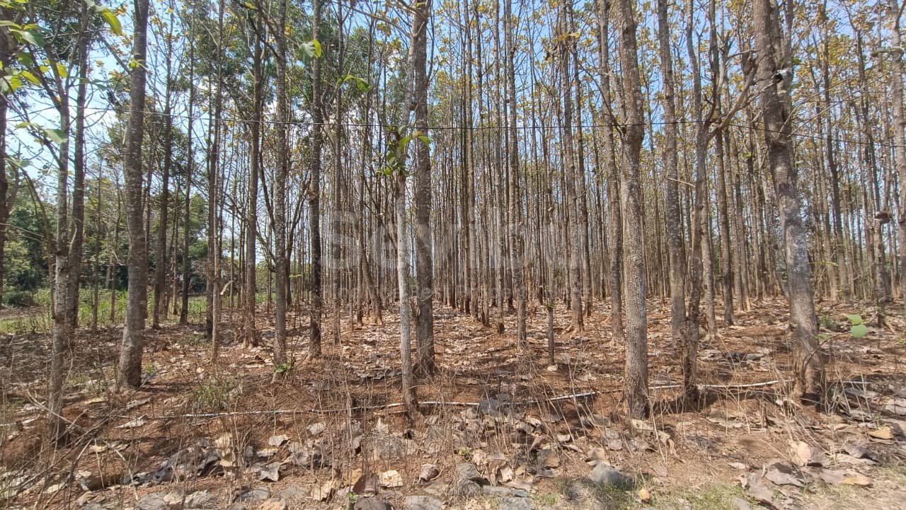 WhatsApp Image 2025-09-25 at 15.11.36 (1)