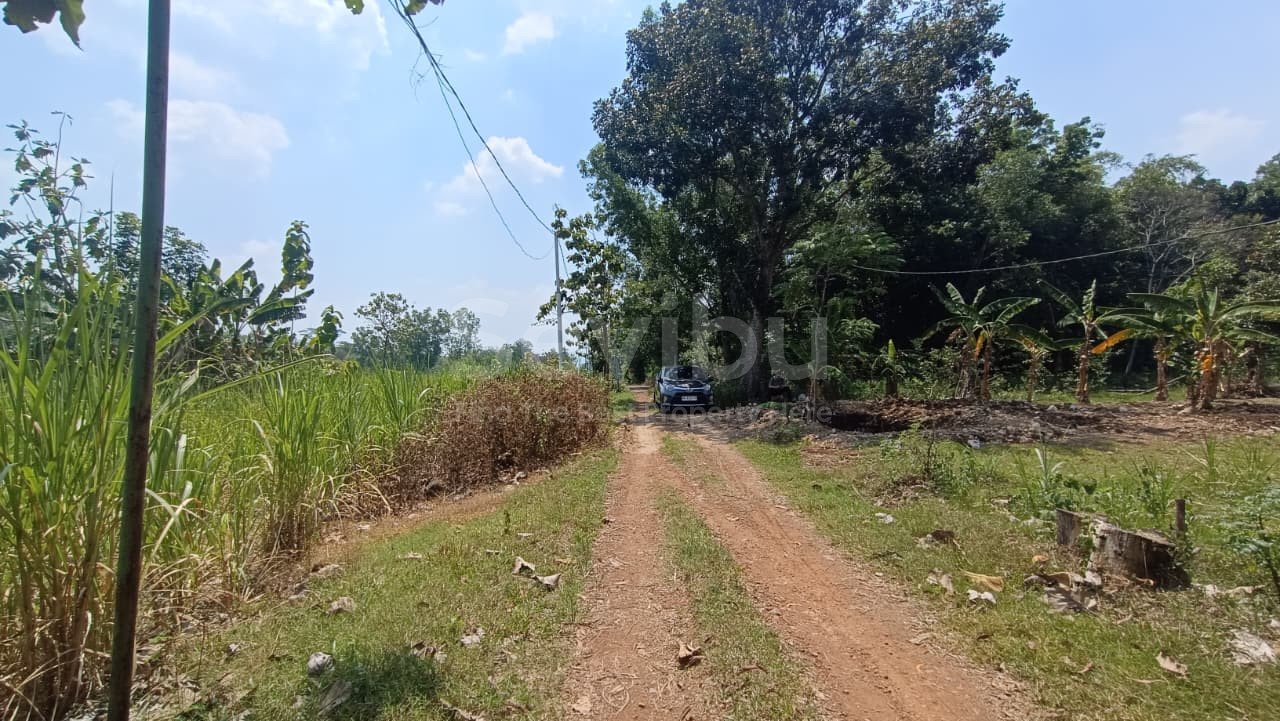 WhatsApp Image 2025-09-25 at 15.11.36 (2)