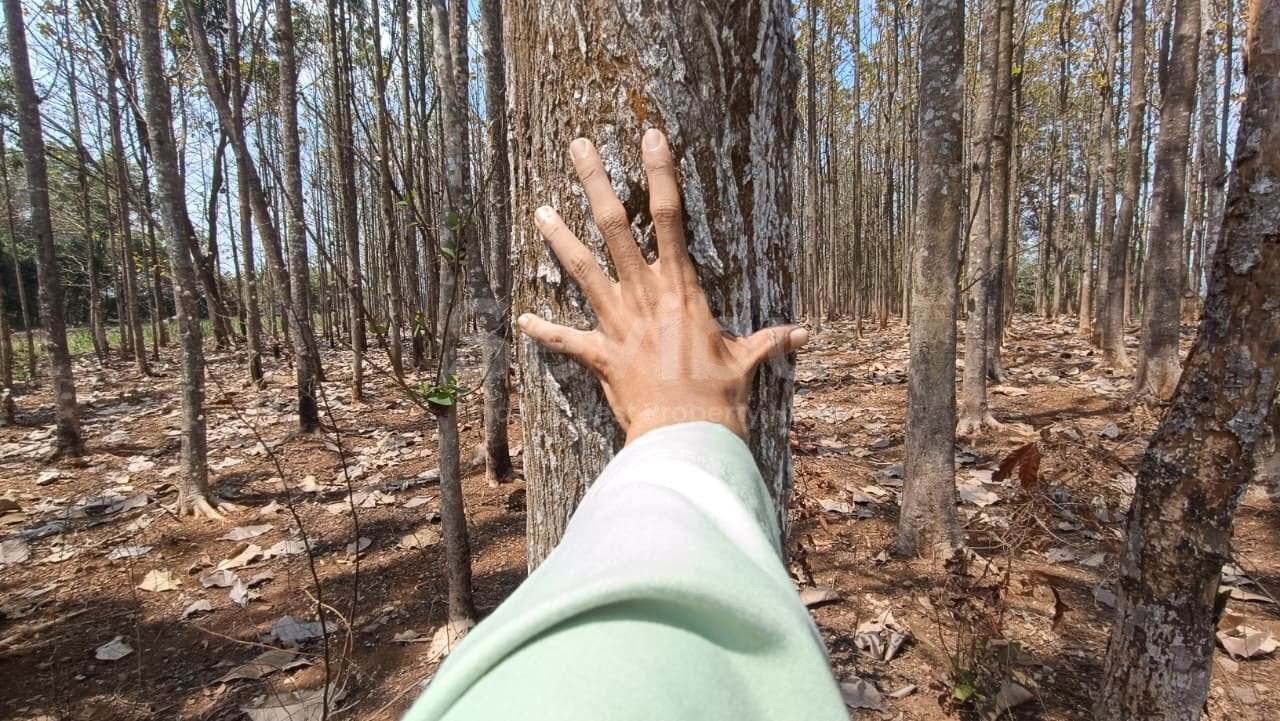 WhatsApp Image 2025-09-25 at 15.11.36