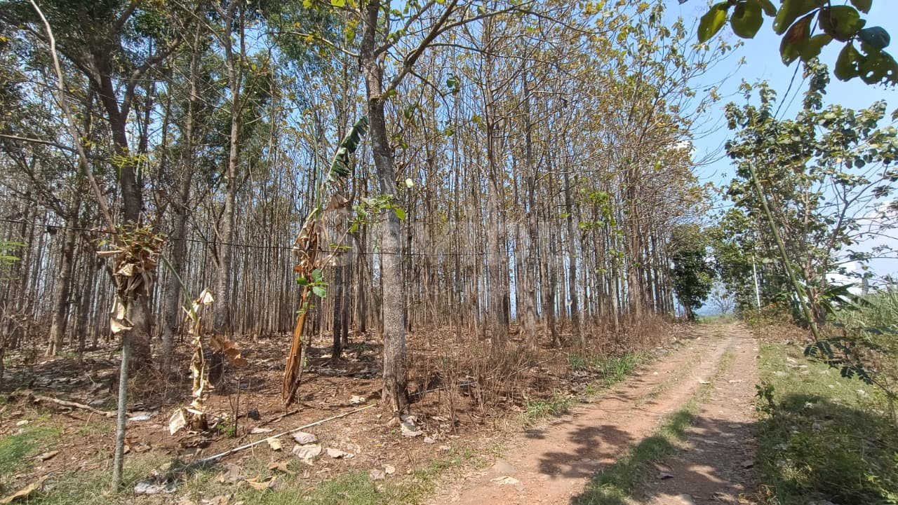 WhatsApp Image 2025-09-25 at 15.11.37 (1)